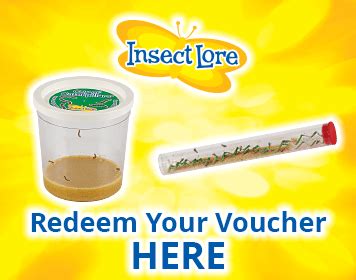 Insect lore free shipping.  Coupon Valid on the Official Website.  Valid on orders tota...