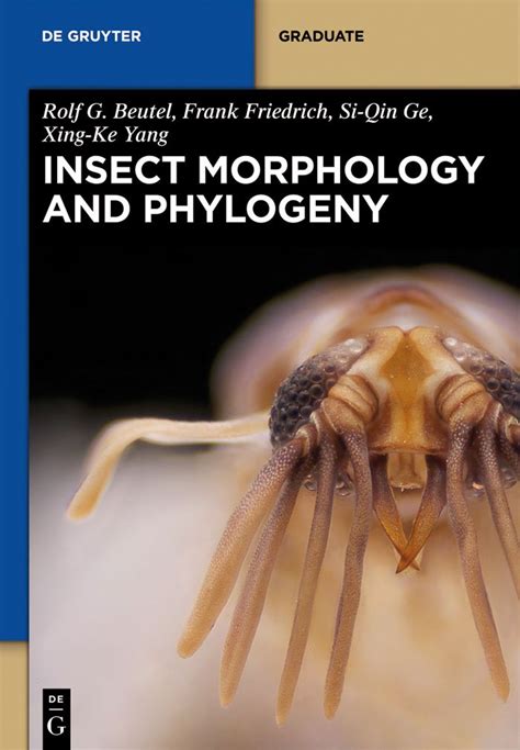 Insect morphology and phylogeny de gruyter textbook. - Workshop manual jcb 3cx 2015 model backhoe.