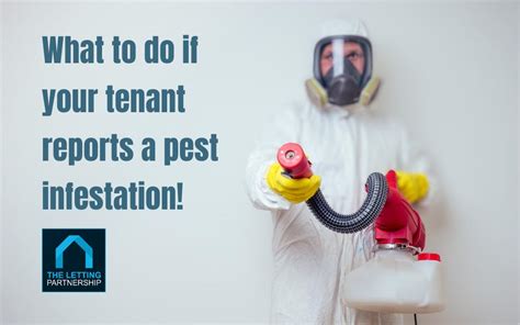 Insect past control agerment.  If the Tenant has a infestation after the...