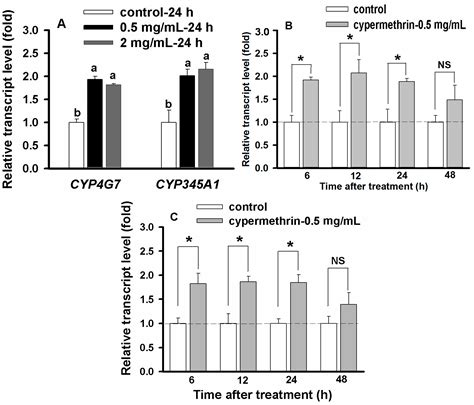 Insecticide-Mediated Up-Regulation of Cytochrome P450 Genes …