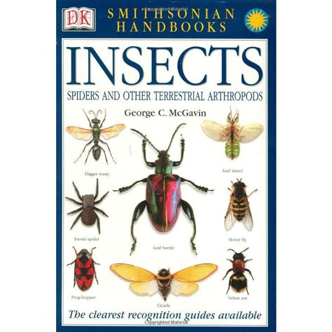 Insects That Start With A: A Comprehensive Guide to Amazing Arthropods