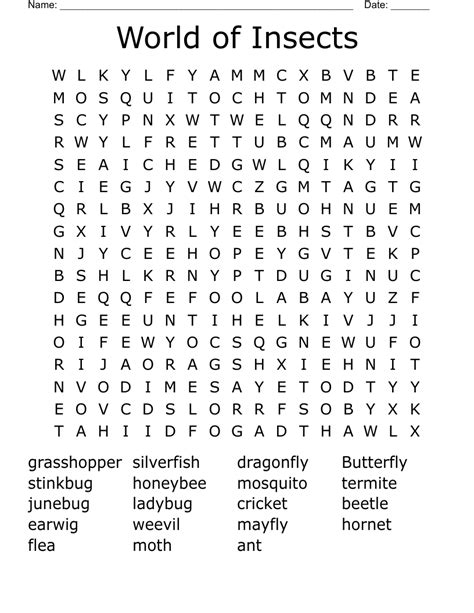 Insects Word Search WordMint
