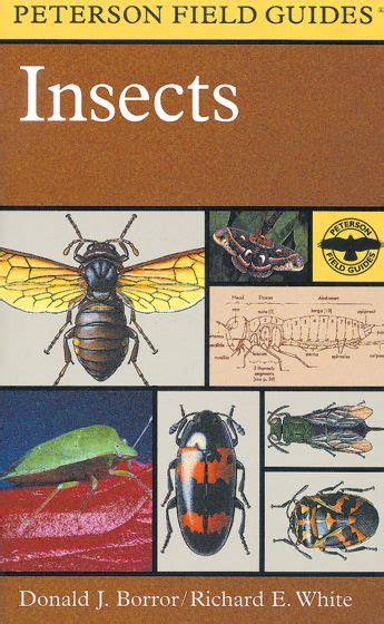 Insects a guide to insects of europe and north america. - Night elie wiesel study guide supplementary material.