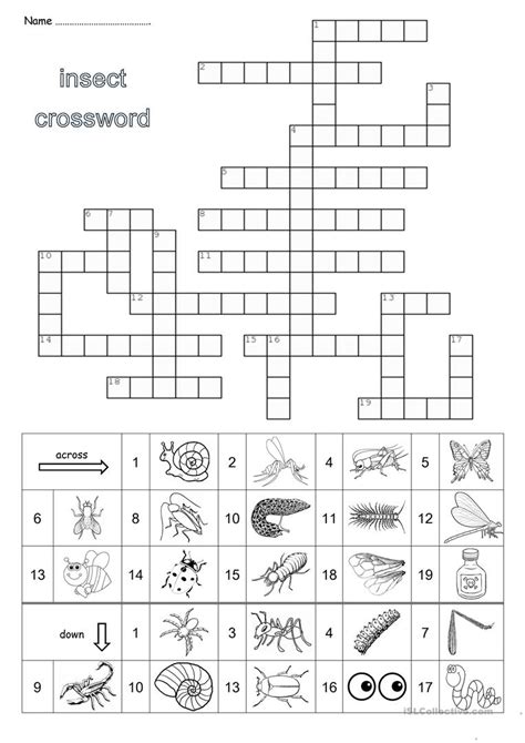 Insect trap. back insect. insect back. TINY insect. Loud insect. INSECT stage. Know another solution for crossword clues containing insect? Add your answer to the crossword database now. All crossword answers for INSECT with 3 Letters found in daily crossword puzzles: NY Times, Daily Celebrity, Telegraph, LA Times and more.. 