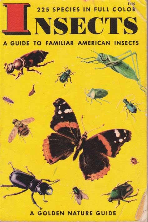 Insects guide to familiar american insects paperback 2001. - Chapter 8 section 3 guided reading review answers.