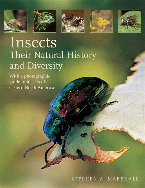 Insects their natural history and diversity with a photographic guide to insects of eastern north america. - State exams california office assistant study guide.