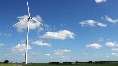 Insektsdöd vindkraft