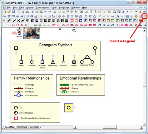 Inserting a Key Legend for Genogram Symbols GenoPro Help Family