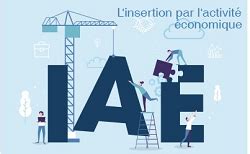 Insertion par l’activité économique - DREETS