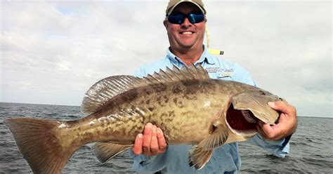 Inshore Gag Grouper & Snapper Secrets (Best Baits, …