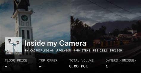 Inside My Collection