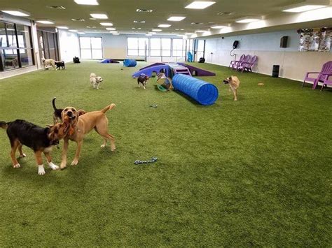 Inside dog park near me. Park-9 Dog Bar brings together a dog park and a dog friendly bar under one roof. We have dog daycare too! Located just outside Boston in Everett, MA. 