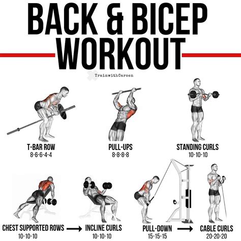 Inside the Muscles Best Back and Biceps Exercises