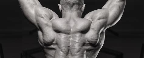 Inside the Muscles Best Shoulders and Trap Exercises