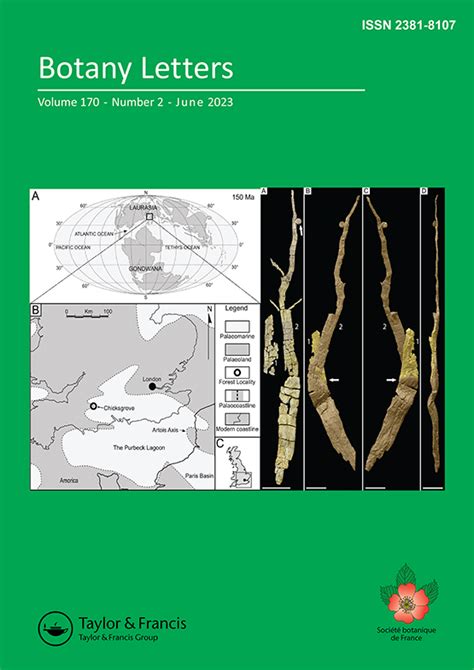 Insights into palaeobotany