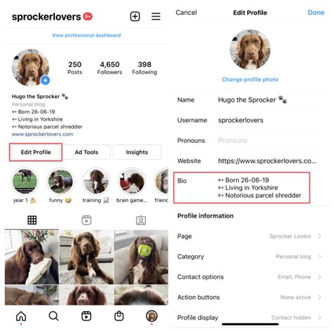 Instagram Editing Bio