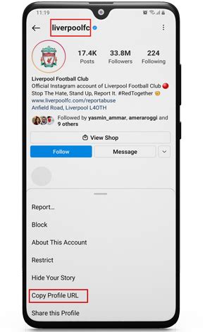 Instagram Profile Viewer Free IG Engine
