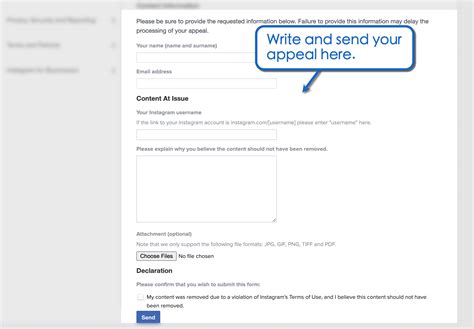 Instagram appeal form. Anyway- I’m trying to fill out Facebook’s Instagram appeal form (I’ve filled out so many other forms at this point), but as soon as I fill out all of my info…a red box pops up saying “Confirm your account to request a review”. It tells me to open Instagram to do this. Except I don’t have access TO my Instagram. 