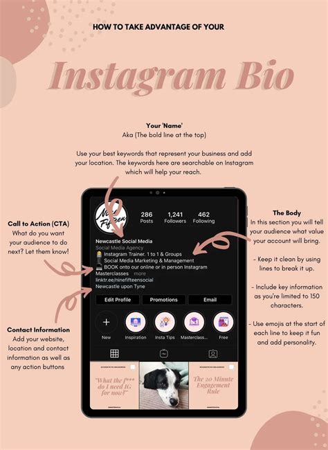 Instagram bio generator