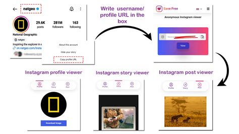 Instagram profile post viewer.  Instantly view Instagram comments and download...