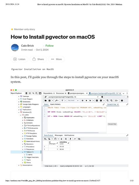 Install pgvector on mac.  This is the engine behind MindMirror's semantic search. 1 and Post...