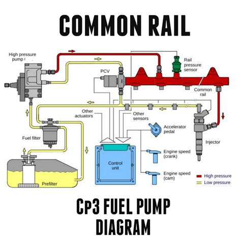 Installation manual 2002 duramax fuel pump. - Ran online quest guide to b3.
