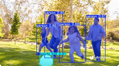 Instance Segmentation Datasets Overview Ultralytics YOLO Docs. 