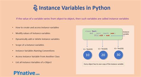Instans python