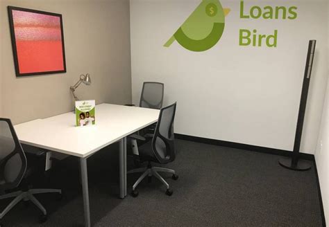 Instant Loans Bird Experiences & Reviews - ProvenExpert.com