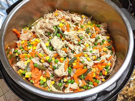 Instant pot dog food. Homemade dog food is a great way to spoil your dog and feel good about doing it. Made in an instant pot, it is a quick, cheap, and easy! Click through to get the recipe! #dogfood #instantpot #instapot #healthy #southernbytes #dogs 