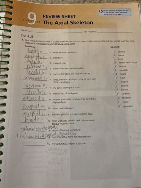 Instructors may algo a portion of the Review Sheet