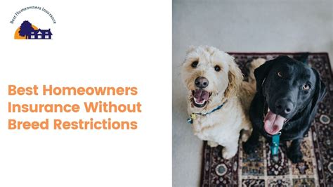 Homeowners Insurance Dog Breed Restrictions. Unfortunately, not all dogs will meet the criteria to be included under a policy. While most dog breeds won’t impact your eligibility for homeowners coverage, there are some breeds that require additional considerations, such as whether your yard is fully and securely fenced.. 