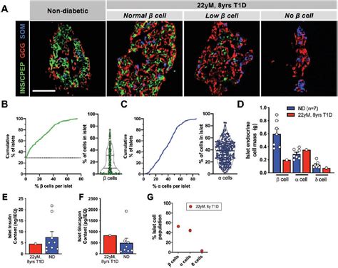 Integrated Analysis of the Pancreas and Islets Reveals Unexpected ...