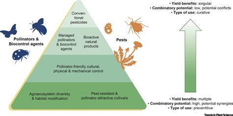 Integrated Pest and Pollinators Management-IPPM