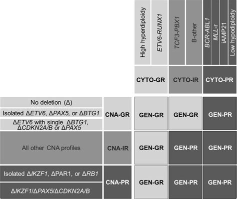 Integration of cytogenetic and molecular alterations in risk