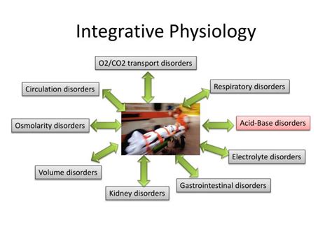 Integrative physiology. Things To Know About Integrative physiology. 