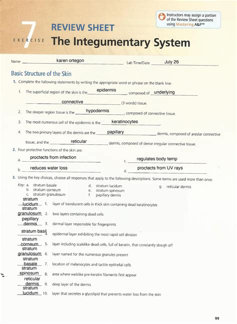 Integumentary System Review Sheet 7