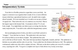 Integumentary System edHelper Worksheets Library