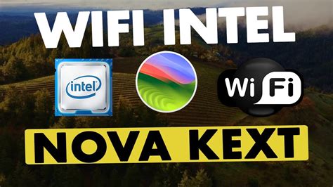 Intel wifi kext.  IntelBluetoothFirmware is a Kernel Extension that uploads Inte...