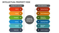 Intellectual Property Risk Salil Bali