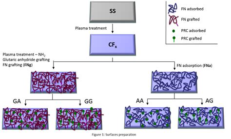 Interaction of phosphorylcholine with fibronectin coatings: the ...