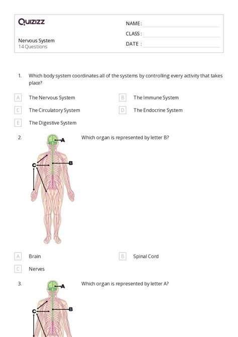 Interactive Physiology Nervous System I Answers