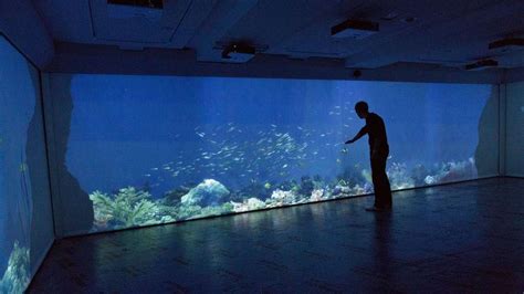 Interactive aquarium. Things To Know About Interactive aquarium. 