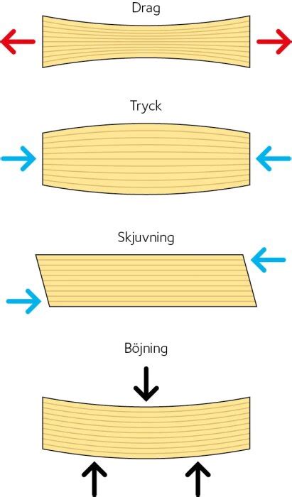 Interaktion böjning