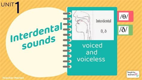 Interdental: Definition, Sounds & Examples StudySmarter