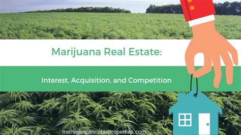 Interested In Cannabis Real Estate? - Michigan Marijuana Lawyer