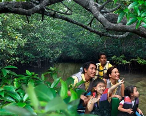 Interesting tour - Review of Bintan Mangrove Discovery - Day Tour ...