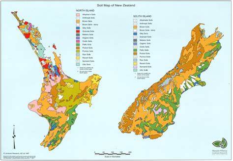 Interim report on soils of Wellington region, New Zealand