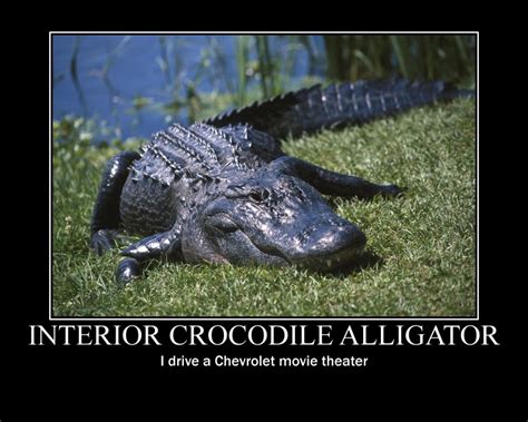 Interior crocodile alligator. Things To Know About Interior crocodile alligator. 