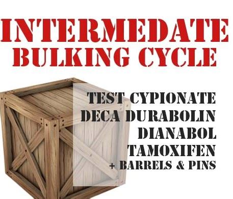 th?q=Intermediate Bulking Cycle - Steroid